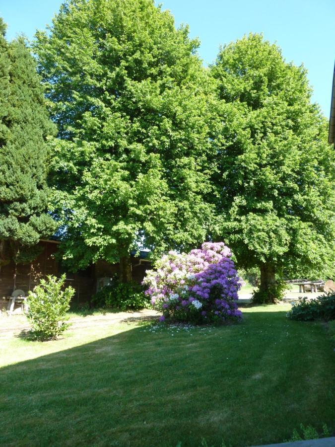 'Chez Lulu' - Gîte de charme en Ardennes avec grande terrasse fermée Nassogne Exterior foto