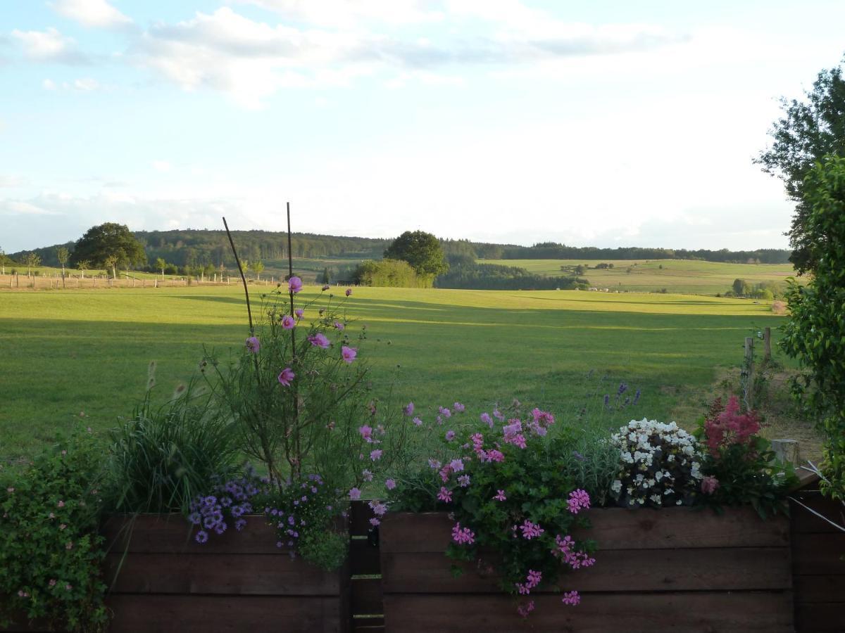 'Chez Lulu' - Gîte de charme en Ardennes avec grande terrasse fermée Nassogne Exterior foto